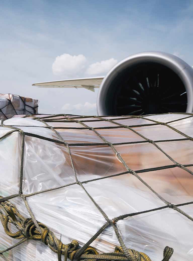 Freight forwarding operations — American Global Freights