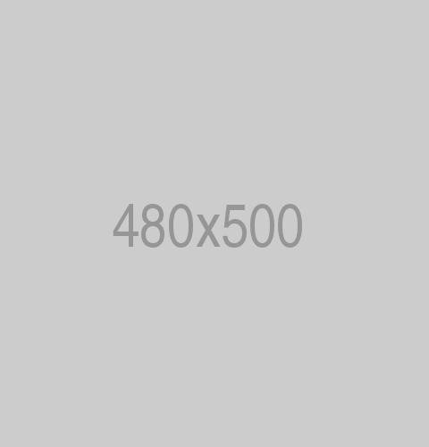 480x500x2